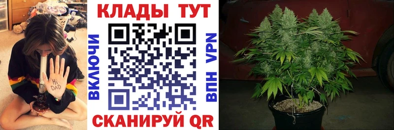 Купить наркотики сайты Касли кракен ССЫЛКА Меф мяу мяу СК АМФЕТАМИН ГАШ Марихуана ТГК