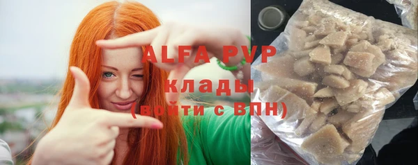 индика Армянск